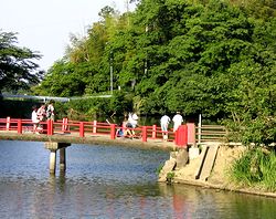 �����̒r�ł������q�ǂ��B